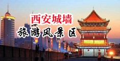 亚洲逼逼中国陕西-西安城墙旅游风景区