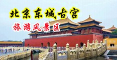 男女射精中国北京-东城古宫旅游风景区
